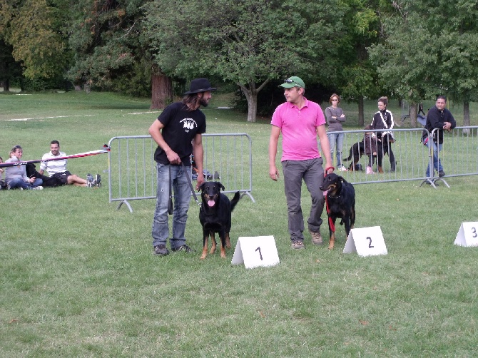 Des bergeres du mont angele - Journée de Beauceron septembre 2013