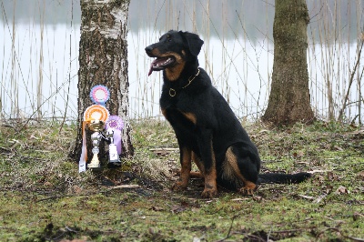 Des bergeres du mont angele - Speciale de beauceron en helsinki 09/05/13