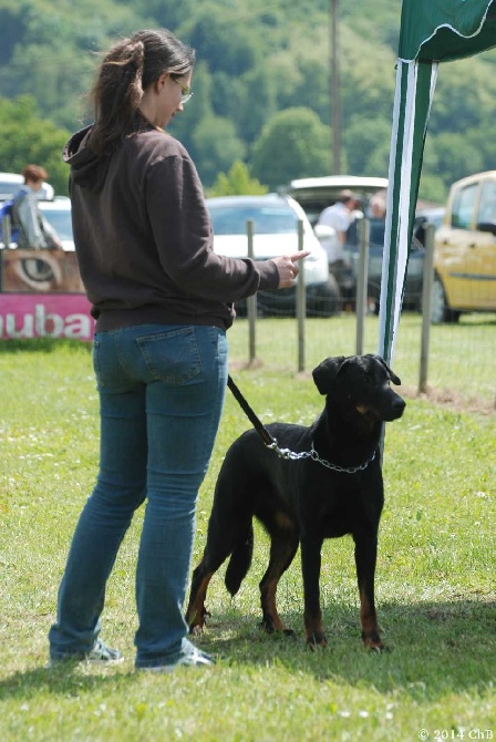 Des bergeres du mont angele - Journée de Beauceron juin 2014