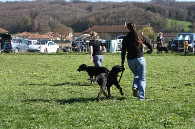 Des bergeres du mont angele - Regionale Beauceron à Longechenal 14/04/13