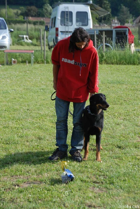 Des bergeres du mont angele - Journée de Beauceron juin 2014