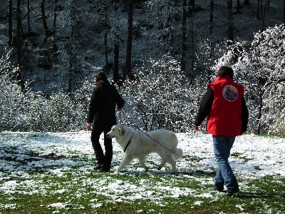 Des bergeres du mont angele - Gina a la Regionale a Nevache (05)